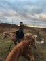 sport s koněm
