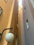 linie
