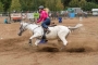 rodeo