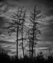 Michal  Sýkora - Vrcholky
