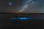 Barbara Poláková - Bioluminiscenční plankton a hvězdná obloha