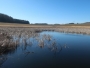 Jezero