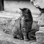 Eva Židův - Přemýšlí...