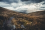 Sunshine in Storm
