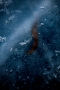 Petr Bureš - Galaxie