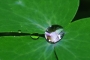 Diamant