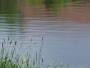 U vody