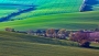 Vlny a remízky kam se podíváš!