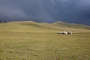 Jiří Šneider - Kyrgyzstán 