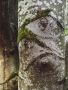 Květa Trčková - Tři oči