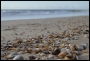 Libor Knoflíček - pláž Egmond aan Zee, Holandsko 2