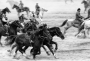 Radana  Miková- Kuchařová - Buzkashi
