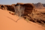 Wadi Rum (1)