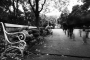 Street - Fotograf roku Junior VII.kolo - Bez povšimnutí