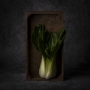 Pak Choi