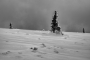 Strom
