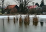 Ledový rybník