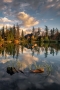 Reflexie