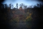 Lomografie