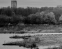 kachny