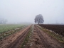 Polabská krajina