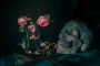 Lucie Faltýnková - Vanitas