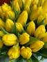 Tulipány