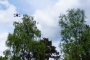 1.Dron