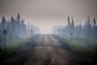 Hana Pešková - Alaska highway