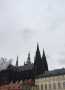 Mijat Žarkovič - Praha