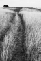 Ondřej  Kořínek - Na cestách