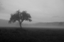Pohled do krajiny - Pochmurná