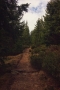 Evey Taylor - Road Untraveled