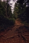 Evey Taylor - Untraveld Road
