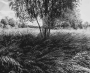 Helena Poulová - Jako peří 