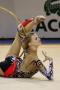 Gymnastika 1