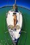 Balaton babes 2.