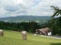 POLANKA
